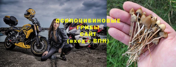 spice Зерноград