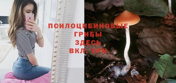 spice Зерноград